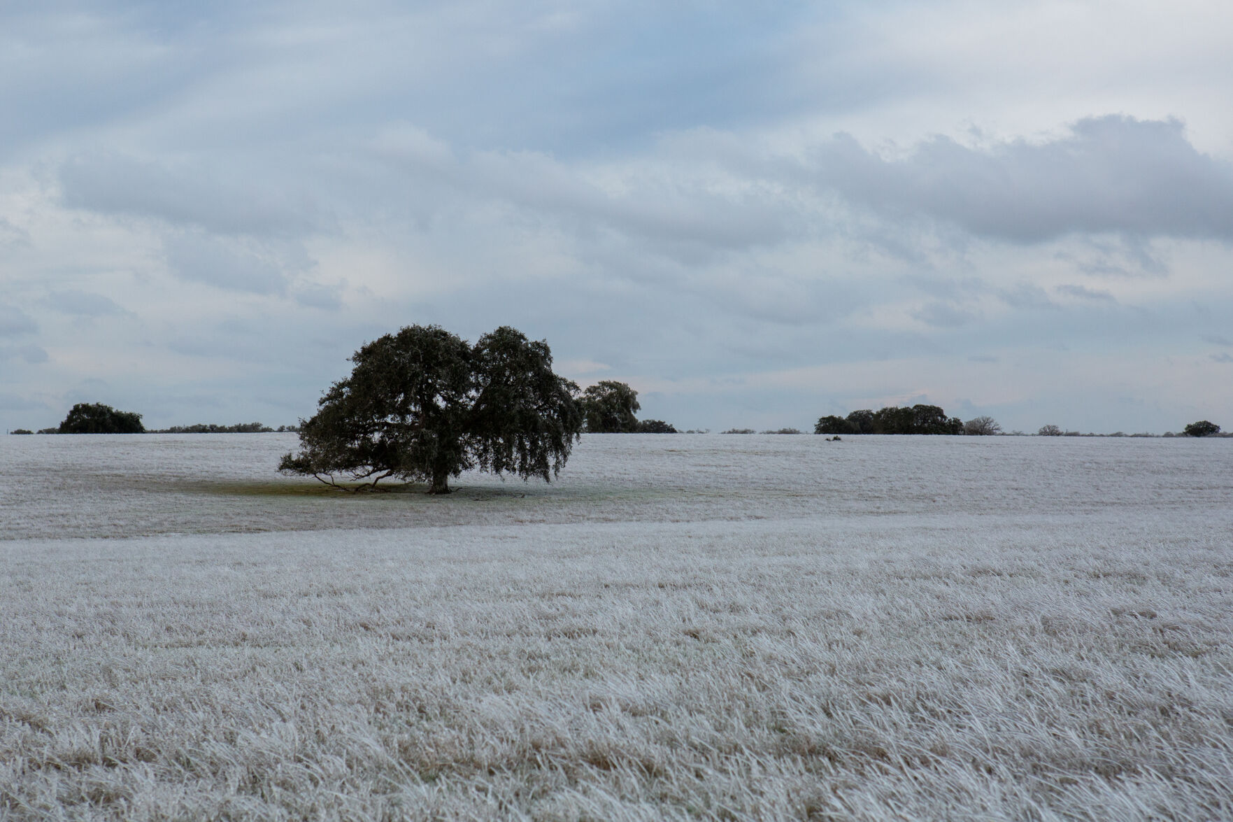 Winter storm in Goliad